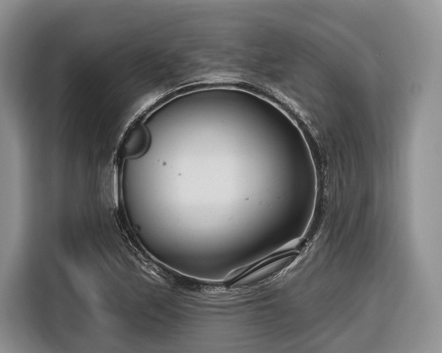 X0000116671171200912211558