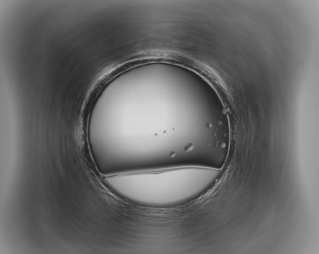 X0000116671172200912211558