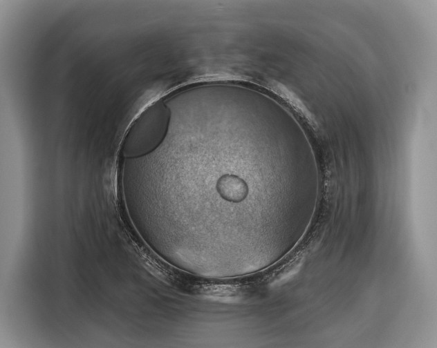 X0000116671173200912211558