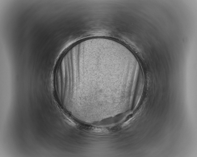 X0000116671174200912211558