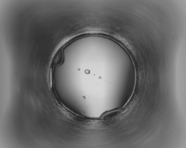 X0000116671175200912211558