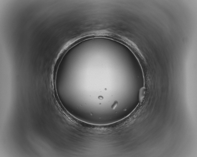 X0000116671176200912211558