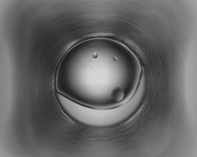 X0000116671177200912211558