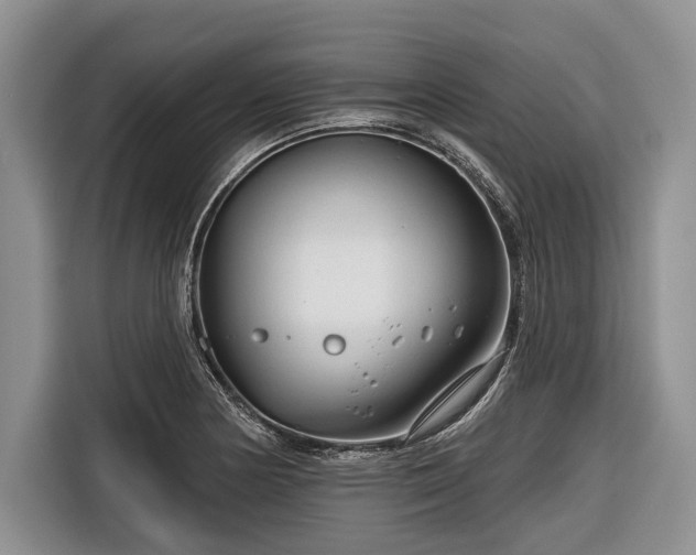 X0000116671178200912211558