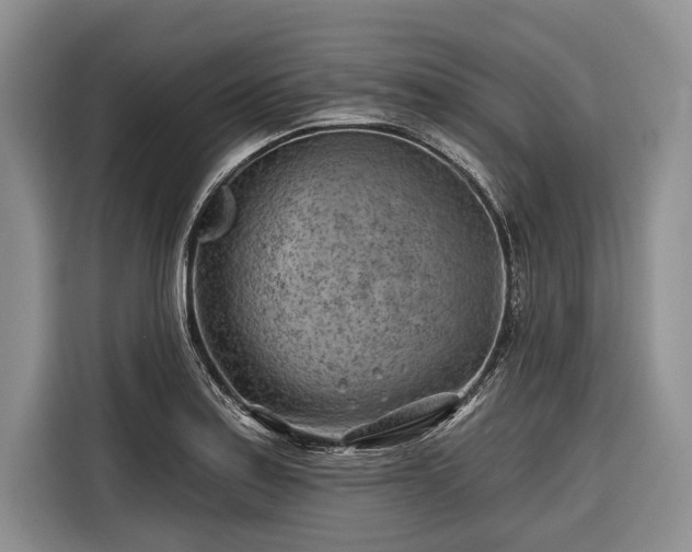 X0000116671179200912211558