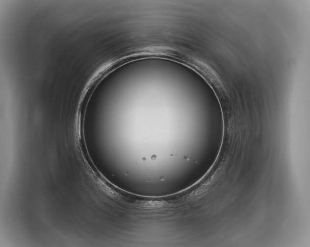 X0000116671180200912211558