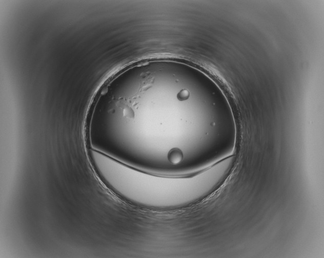 X0000116671181200912211558