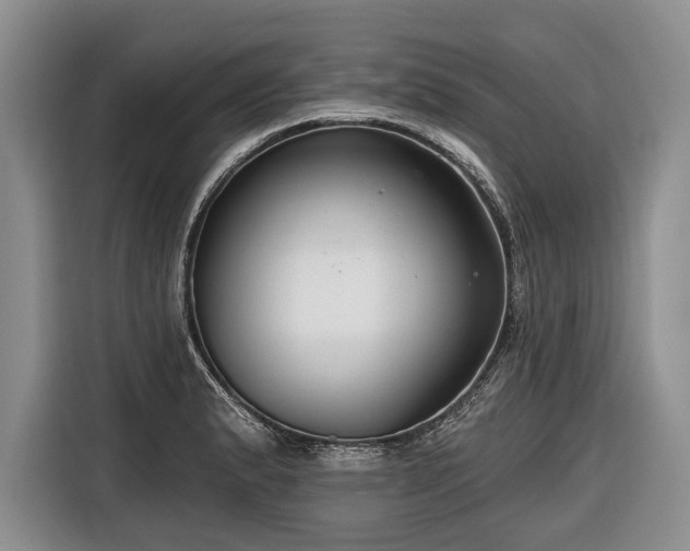 X0000116671183200912211557