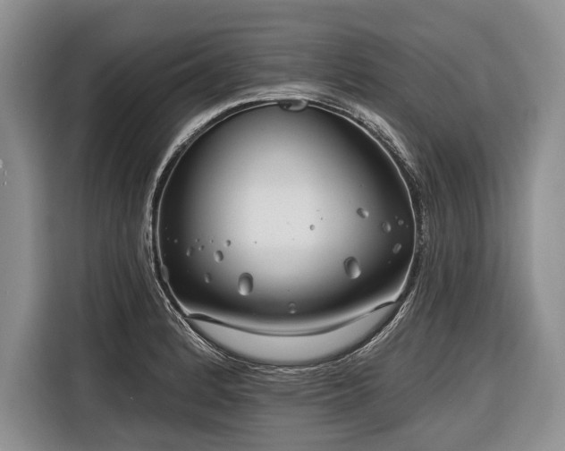 X0000116671184200912211557