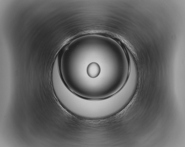 X0000116671185200912211557