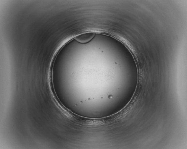 X0000116671187200912211557