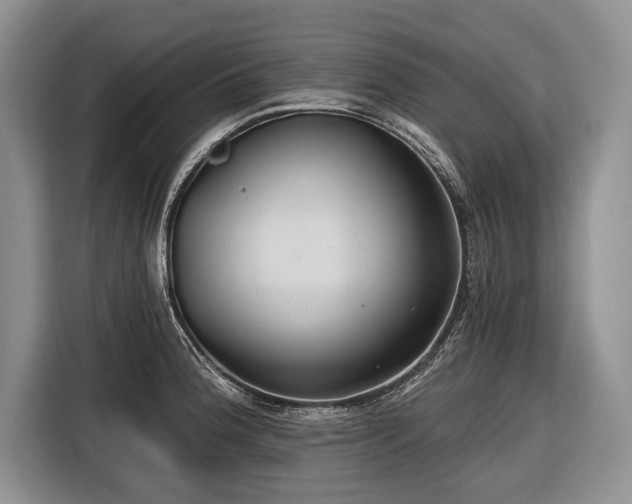 X0000116671188200912211557