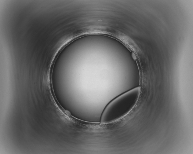 X0000116671189200912211557