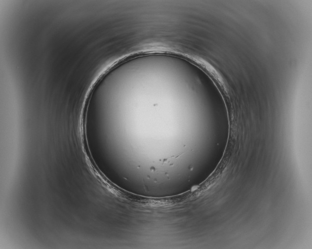 X0000116671191200912211557