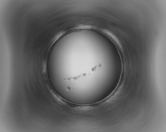 X0000116671193200912211557