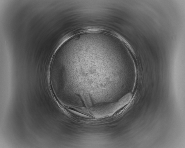 X0000116671194200912211557