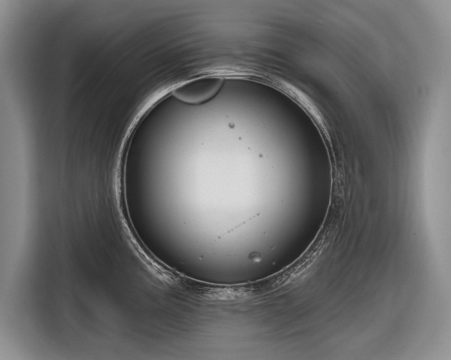 X0000116671195200912211557