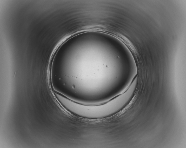 X0000116671196200912211557