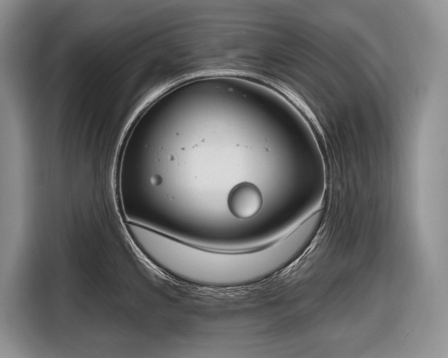 X0000116671197200912211557