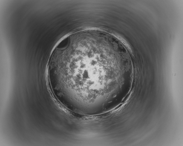 X0000116671198200912211557