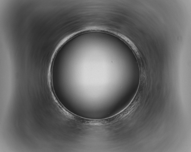 X0000116671199200912211557