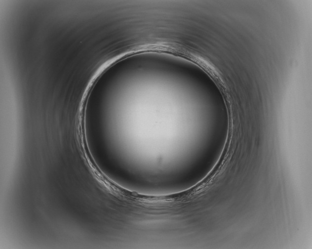 X0000116671200200912211557