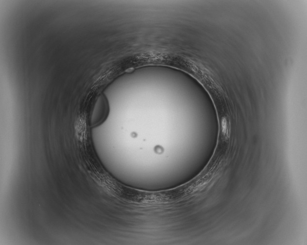 X0000116671203200912211557