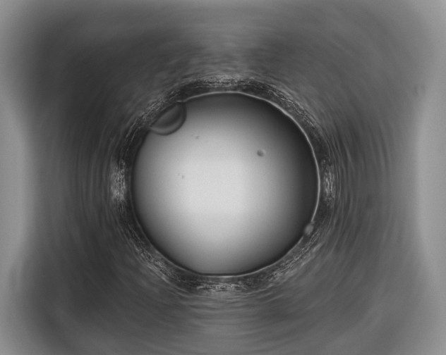 X0000116671204200912211557