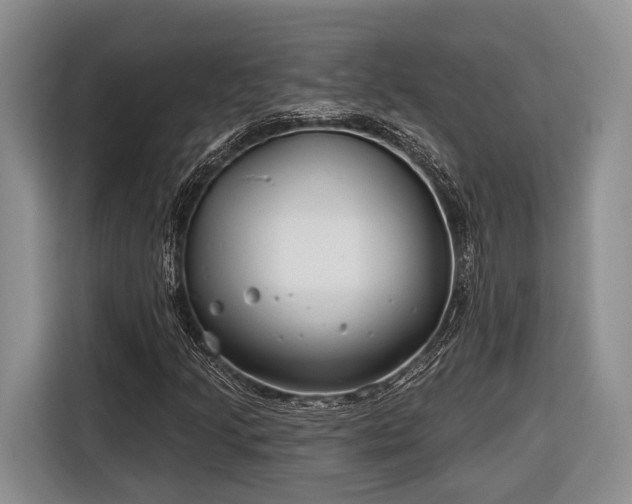 X0000116671205200912211557