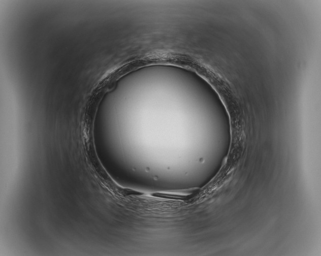 X0000116671206200912211557