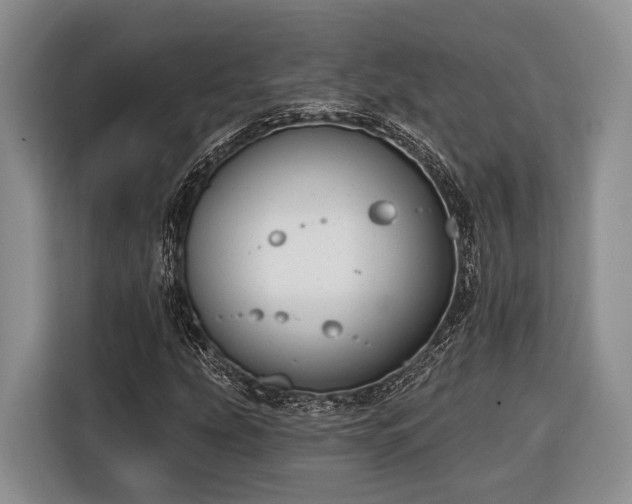 X0000116671207200912211557