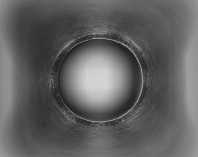 X0000116671208200912211557