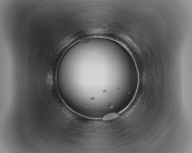 X0000116671209200912211557