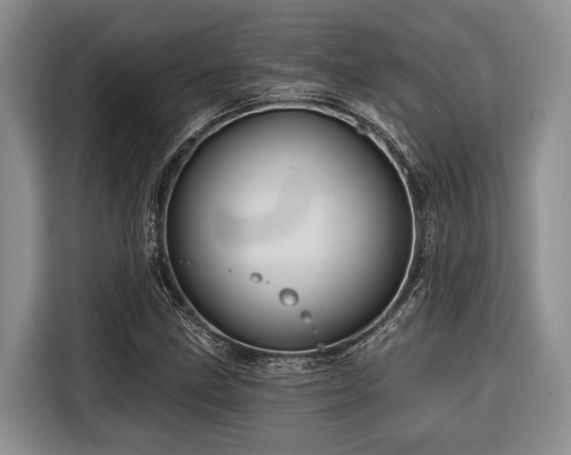 X0000116671211200912211557