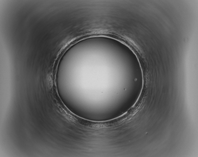 X0000116671212200912211557