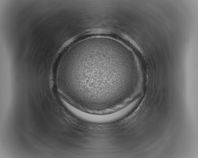 X0000116671213200912211557