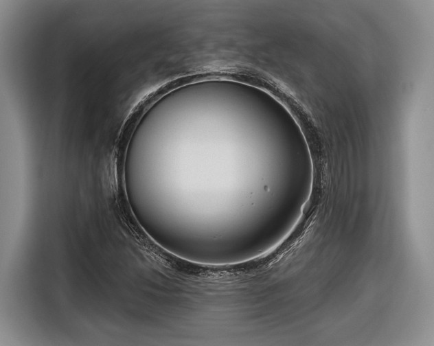 X0000116671214200912211557