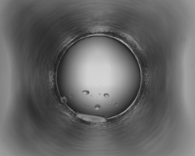 X0000116671217200912211557