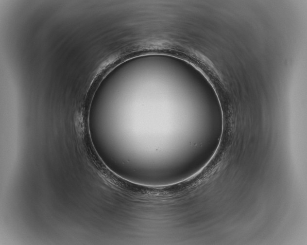 X0000116671218200912211557