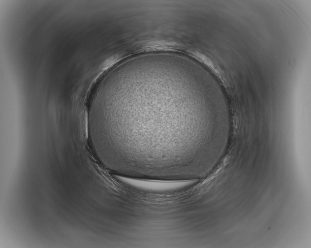 X0000116671219200912211557