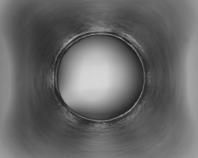 X0000116671220200912211557