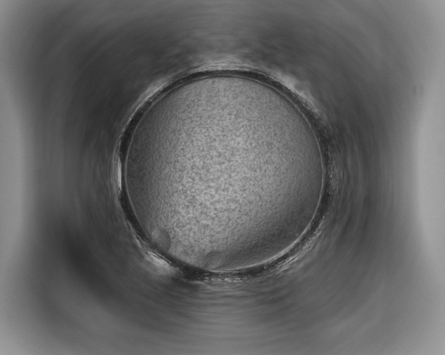 X0000116671221200912211557