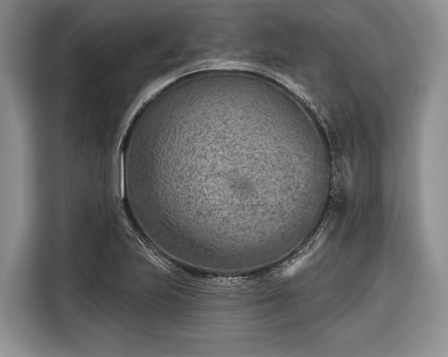 X0000116671223200912211557