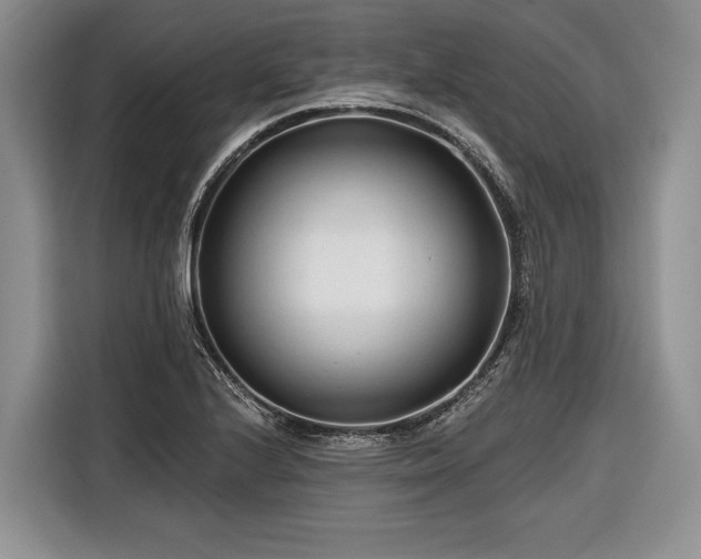 X0000116671224200912211557