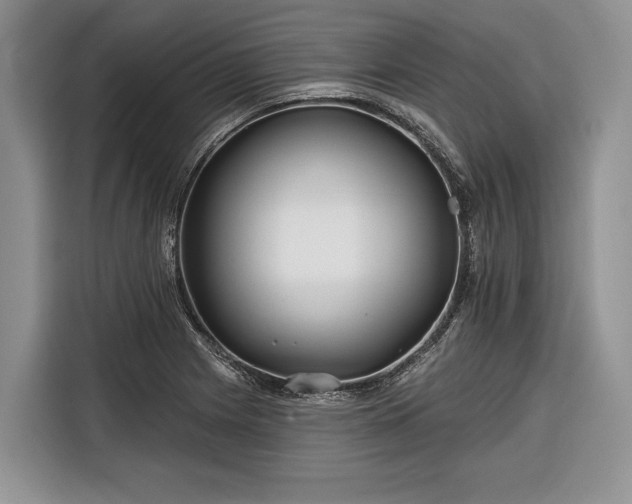 X0000116671225200912211557