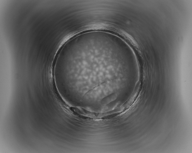 X0000116671226200912211557