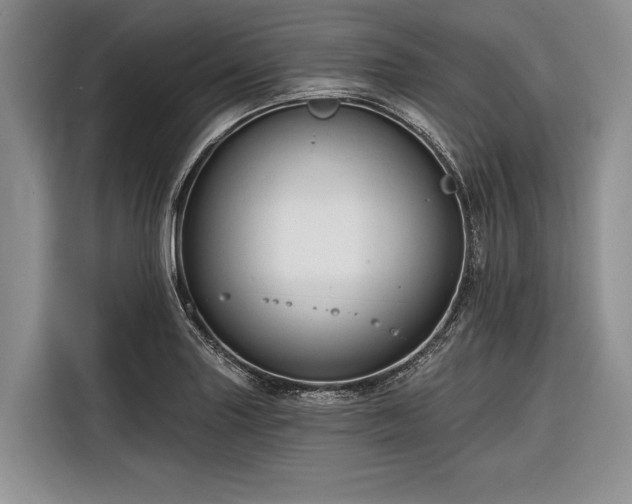 X0000116671227200912211557