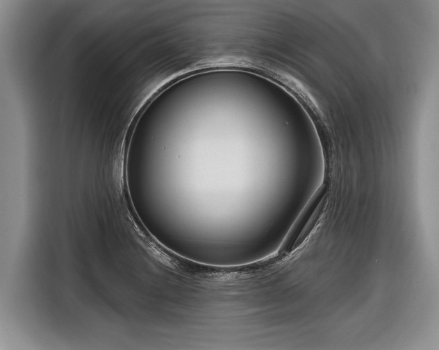 X0000116671228200912211557