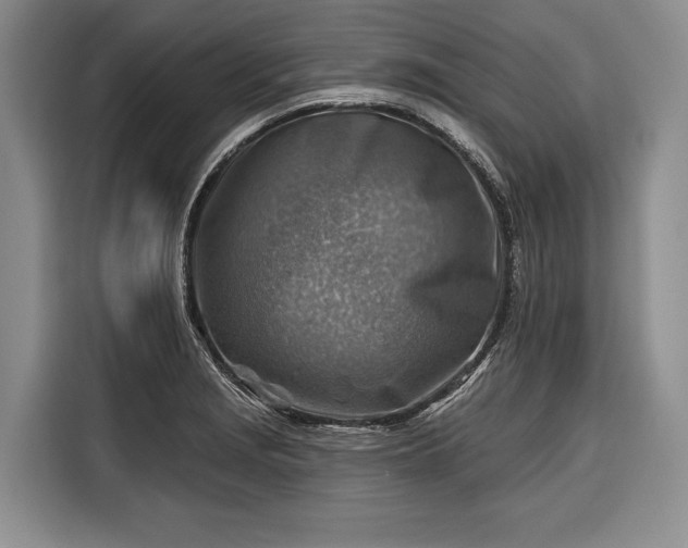 X0000116671229200912211557