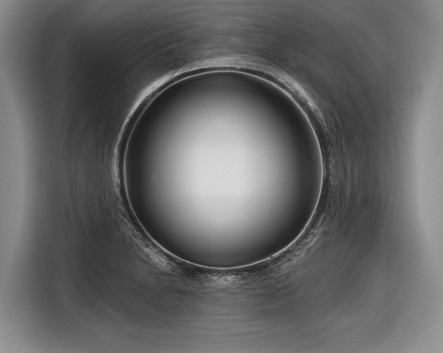 X0000116671230200912211557